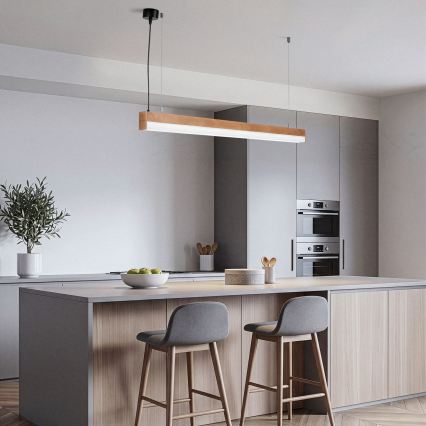 BRILAGI - Suspension LED sur câble GARDALINE LED/100W/230V chêne