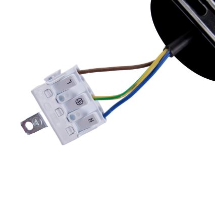 BRILAGI - Suspension LED sur câble GARDALINE LED/100W/230V chêne
