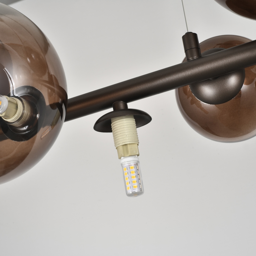Brilagi - Suspension LED sur câble MILLA 10xG9/3W/230V marron/marron fumé