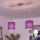 Brilagi - Suspension LED sur câble NUBILA 2xE27/60W/230V violet