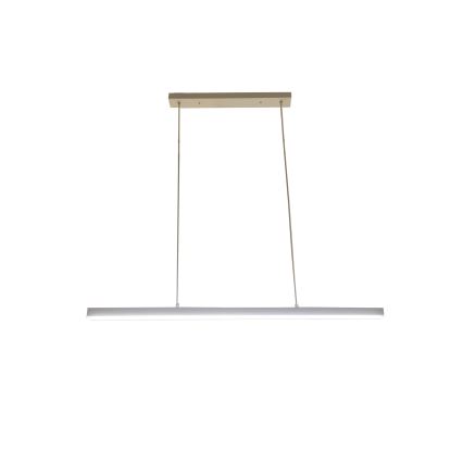 Brilagi - Suspension LED sur câble PAXIS LED/30W/230V 120 cm blanche