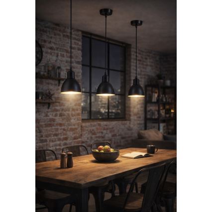 Brilagi - Suspension LED sur câble RIDDY 1xE27/60W/230V noire