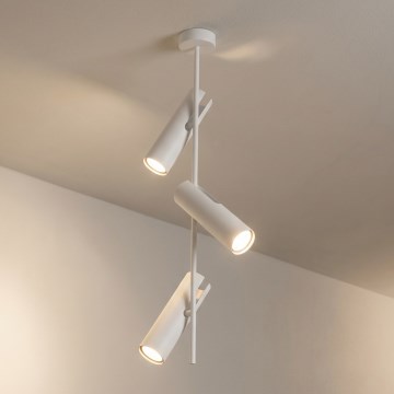Brilagi - Suspension sur tige BRANCH 3xGU10/30W/230V blanche