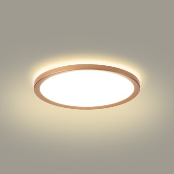 Brilagi - ULTRA SLIM LED-plafondlamp voor badkamer, 18W/230V, Ø 30 cm, roségoud, IP54