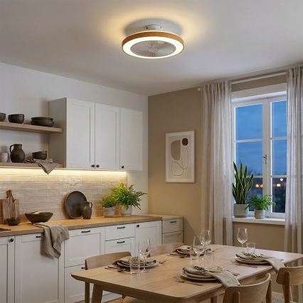 Brilagi - Ventilateur de plafond à LED dimmable 38W/230V 50 cm blanc/marron + télécommande