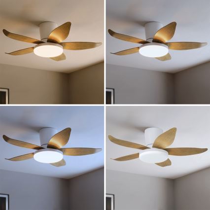 Brilagi - Ventilateur de plafond dimmable LED/32W/230V 3000-6500K Ø 95 cm blanc/marron + télécommande