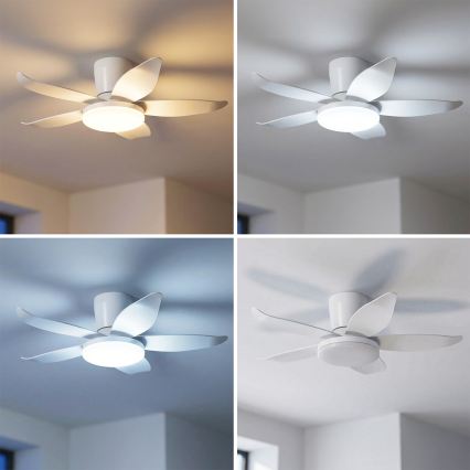 Brilagi - Ventilateur de plafond LED réglable en intensité, 32 W/230 V, 3000–6500 K, diam. 95 cm, blanc + télécommande