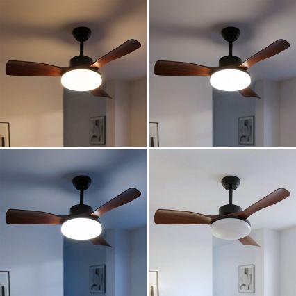 Brilagi - Ventilateur de plafond LED dimmable 34 W/230 V 3000–6500 K Ø 106 cm noir/marron + télécommande