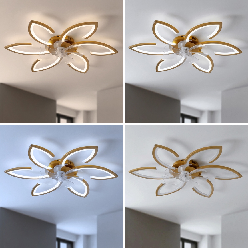 Brilagi - Ventilateur de plafond LED dimmable LED/34W/230V 3000-6500K Ø 78 cm doré + télécommande