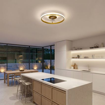 Brilagi - Ventilateur de plafond LED dimmable LED/66W/230V 3000-6500K Ø 55 cm blanc/doré + télécommande