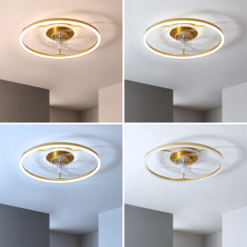Brilagi - ventilateur de plafond LED dimmable LED/66W/230V 3000-6500K diam. 55 cm blanc/doré + télécommande