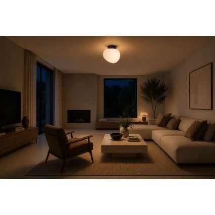 BRILAGI - Wandlamp PEBBLES 1xE27/40W/230V Ø 20 cm zwart