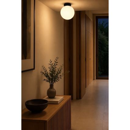 BRILAGI - Wandlamp POLOS 1xE27/40W/230V Ø 20 cm zwart