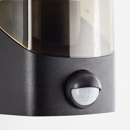 Brilliant - Applique murale extérieure avec détecteur MINOU 1xE27/10W/230V IP44 noir/fumé
