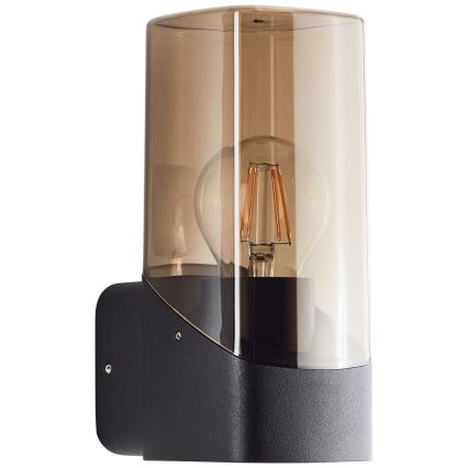 Brilliant - Applique murale extérieure MINOU 1xE27/10W/230V IP44 noir/fumé