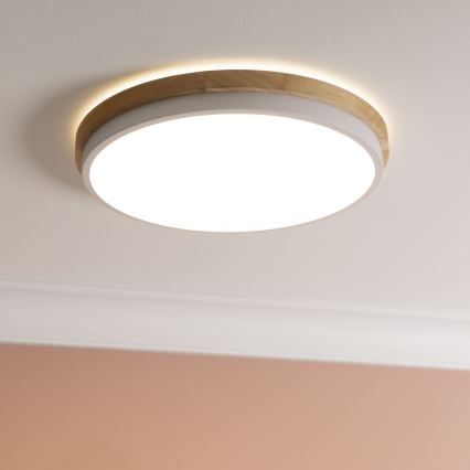 Brilliant - Dimbare LED plafondlamp BAARLO LED/24W/230V diameter 35 cm wit/rubber vijg