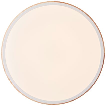 Brilliant - Dimbare LED plafondlamp BAARLO LED/24W/230V diameter 35 cm wit/rubber vijg