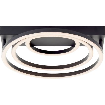 Brilliant - Dimbare LED Plafondlamp PEDLEY LED/36W/230V Zwart