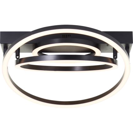 Brilliant - Dimbare LED Plafondlamp PEDLEY LED/36W/230V Zwart