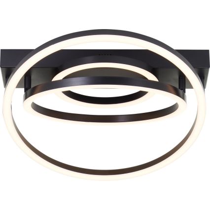 Brilliant - Dimbare LED Plafondlamp PEDLEY LED/36W/230V Zwart