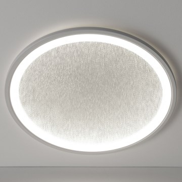 Brilliant - Dimbare LED Plafondlamp TANIDA LED/31W/230V 3000-6500K + afstandsbediening