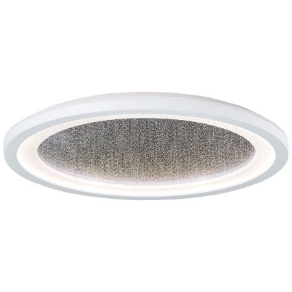 Brilliant - LED RGBW Dimbare plafondlamp TANIDA LED/22W/230V 3000-6500K+ afstandsbediening