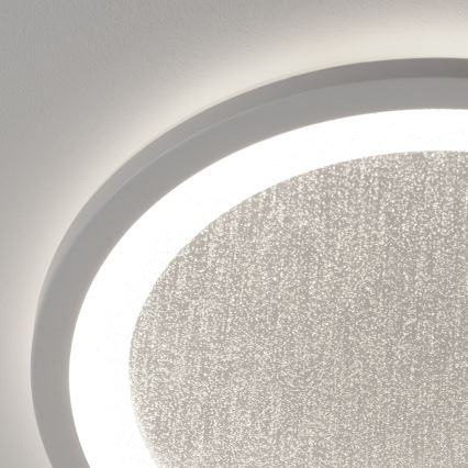 Brilliant - LED RGBW Dimbare plafondlamp TANIDA LED/22W/230V 3000-6500K+ afstandsbediening