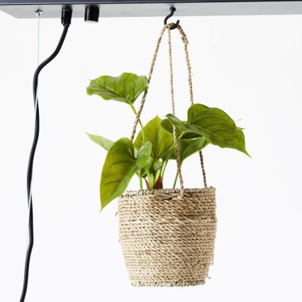 Brilliant - Kroonluchter aan kabel BANKWOOD 5xE27/28W/230V populierenhout