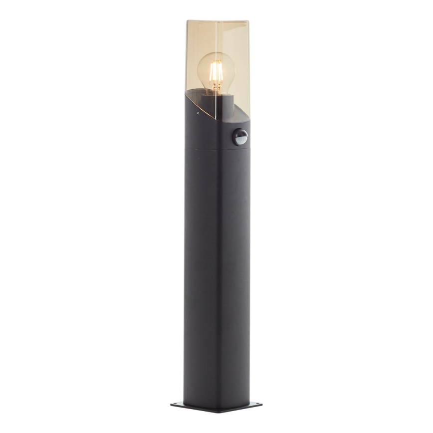 Brilliant - Lampe extérieure avec détecteur MINOU 1xE27/10W/230V IP44 noir/fumé