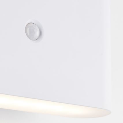 Brilliant - LED Buiten oplaadbaar wandlamp met sensor XINO LED/3W/5V IP44 wit