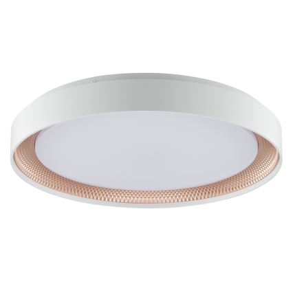 Brilliant - LED-dimbare plafondlamp WALDO LED/36W/230V 3000-6500K Ø 48,5 cm wit/roségoud + afstandsbediening