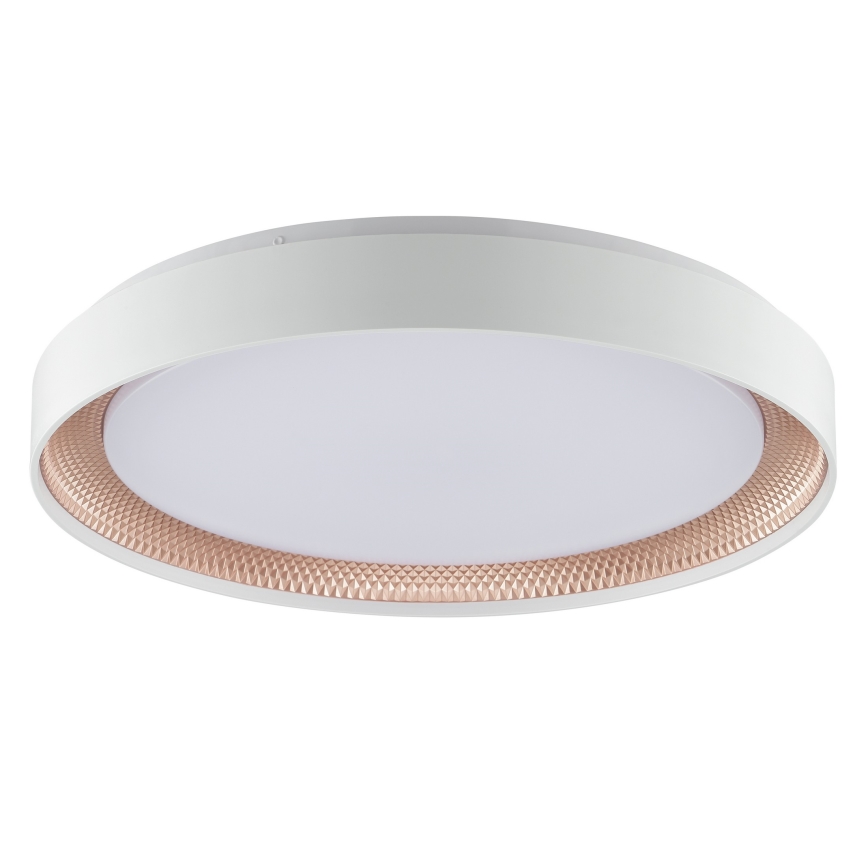 Brilliant - LED-dimbare plafondlamp WALDO LED/36W/230V 3000-6500K Ø 48,5 cm wit/roségoud + afstandsbediening