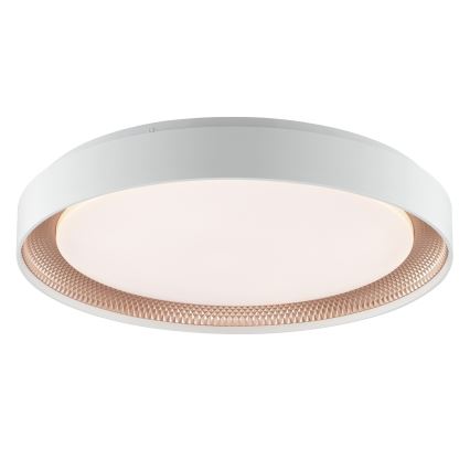Brilliant - LED-dimbare plafondlamp WALDO LED/36W/230V 3000-6500K Ø 48,5 cm wit/roségoud + afstandsbediening