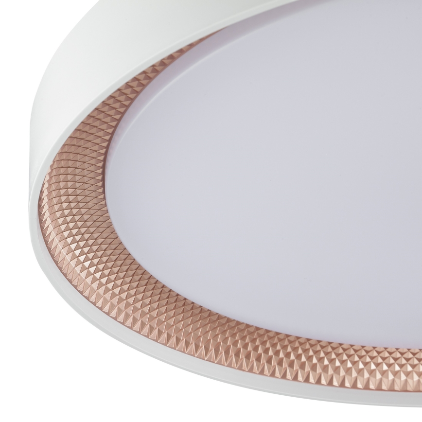 Brilliant - LED-dimbare plafondlamp WALDO LED/36W/230V 3000-6500K Ø 48,5 cm wit/roségoud + afstandsbediening