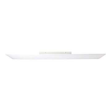 Brilliant - LED Paneel CHARLA LED/40W/230V 29,5x119,5 cm 2700K