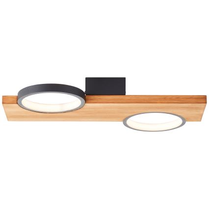 Brilliant - LED Plafondlamp CHEESY LED/14W/230V grenen - FSC gecertificeerd