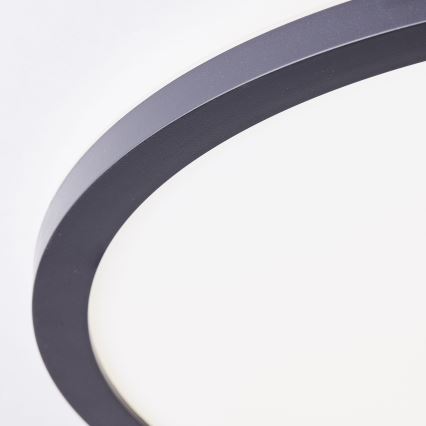Brilliant - LED plafondlamp MILTON LED/24W/230V Ø 42 cm zwart