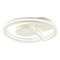 Brilliant - LED plafondlamp REVOLA LED/33W/230V 3000/4000/6500K Ø 40 cm wit