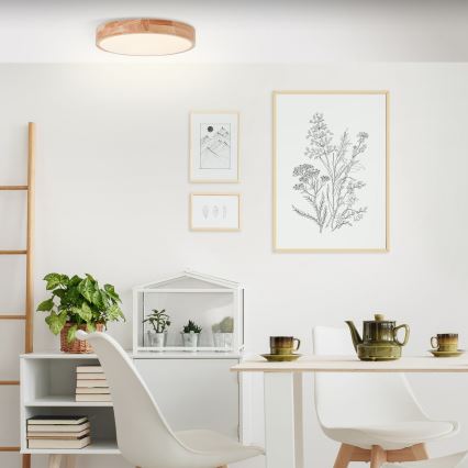 Brilliant - LED-plafondlamp SLIMLINE LED/22W/230V Ø 39 cm rubberboom