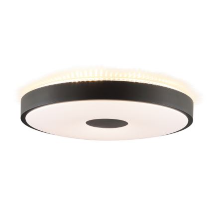 Brilliant - LED plafondlamp TAVIS LED/24W/230V Ø 44,5 cm zwart