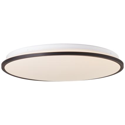 Brilliant - LED RGBW Dimbare plafondlamp HEIDA LED/30W/230V 3000-6500K + afstandsbediening