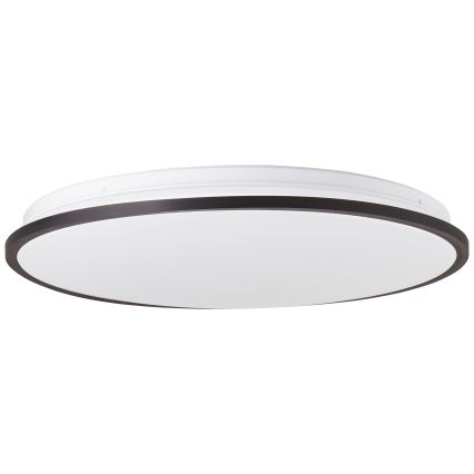 Brilliant - LED RGBW Dimbare plafondlamp HEIDA LED/30W/230V 3000-6500K + afstandsbediening