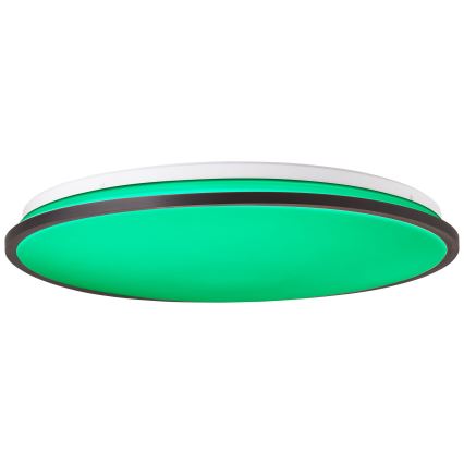 Brilliant - LED RGBW Dimbare plafondlamp HEIDA LED/30W/230V 3000-6500K + afstandsbediening