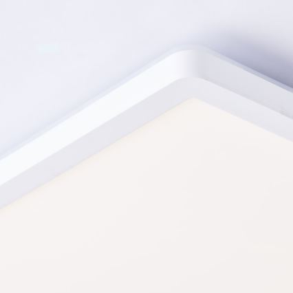 Brilliant - LED RGBW Dimbare plafondlamp SALTERY LED/20W/230V 3000-6500K + afstandsbediening