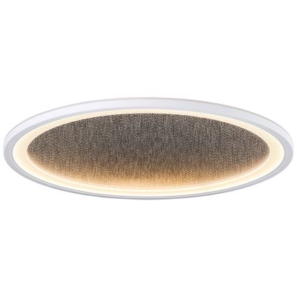 Brilliant - Plafonnier à intensité variable TANIDA LED/31W/230V 3000-6500K + Télécommande