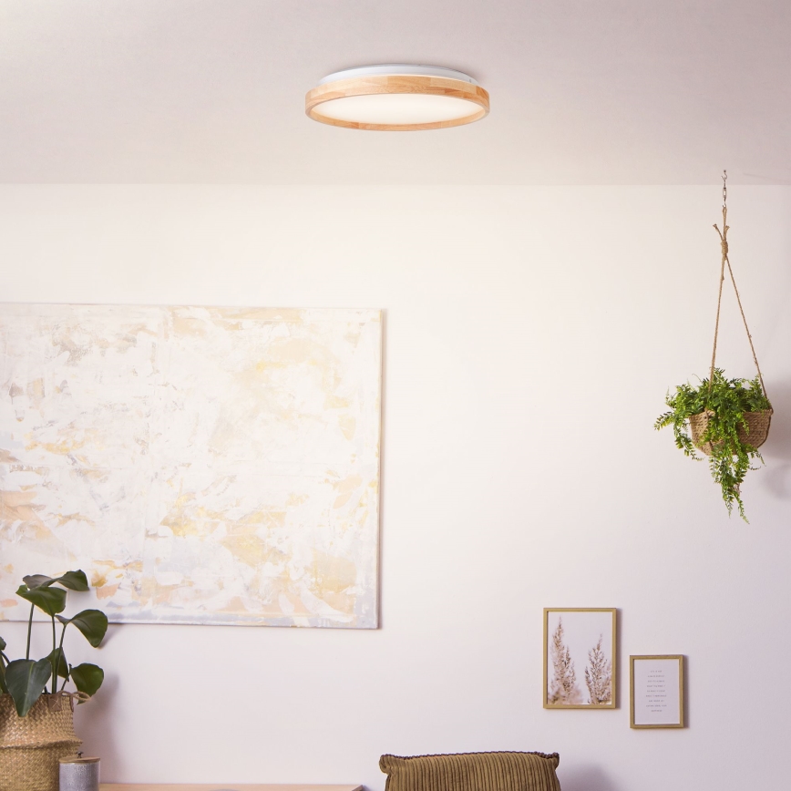 Brilliant - Plafonnier ALSON LED/26W/230V 3000/4500K d. 39,5 cm figuier caoutchouc