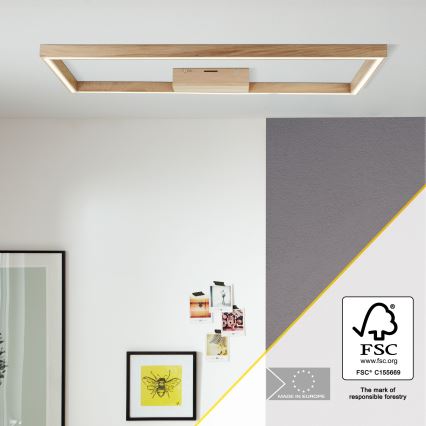 Brilliant - Plafonnier DELGROSSO LED/24W/230V 3000K chêne