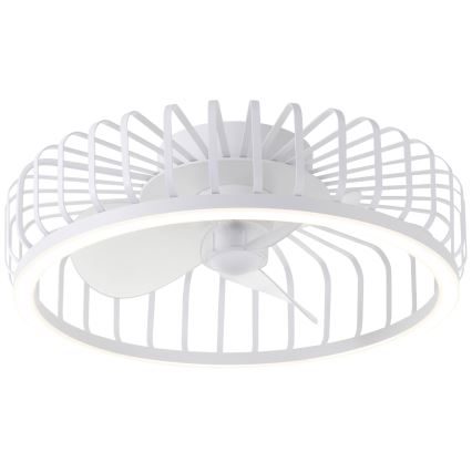 Brilliant - Plafonnier LED dimmable avec ventilateur CAPO LED/36W/230V 2700-6500K Ø 48 cm blanc + télécommande