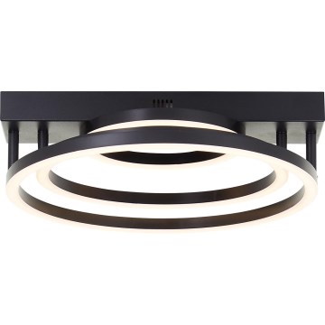 Brilliant - Plafonnier LED dimmable PEDLEY LED/36W/230V noir