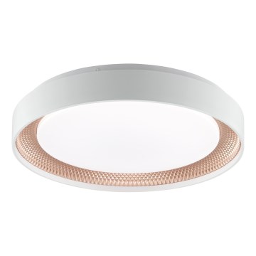 Brilliant - Plafonnier LED dimmable WALDO LED/24W/230V 3000-6500K Ø 38,5 cm blanc/or rose + télécommande